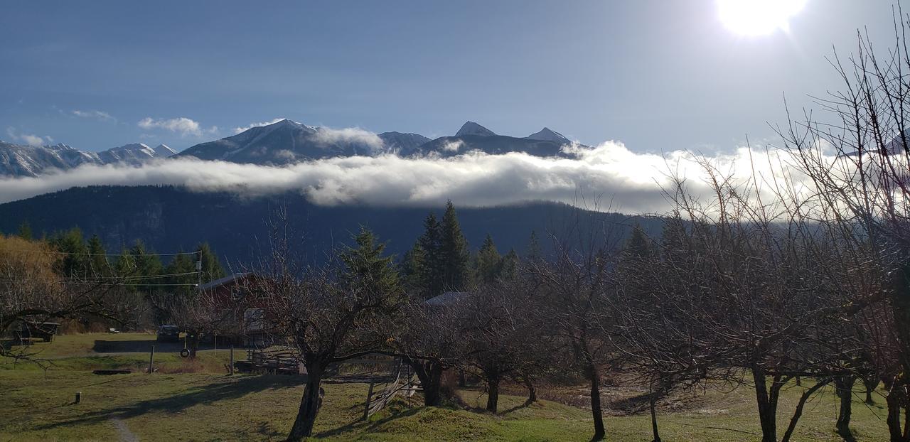 Cherry Cove Cabins Villa Kaslo Luaran gambar