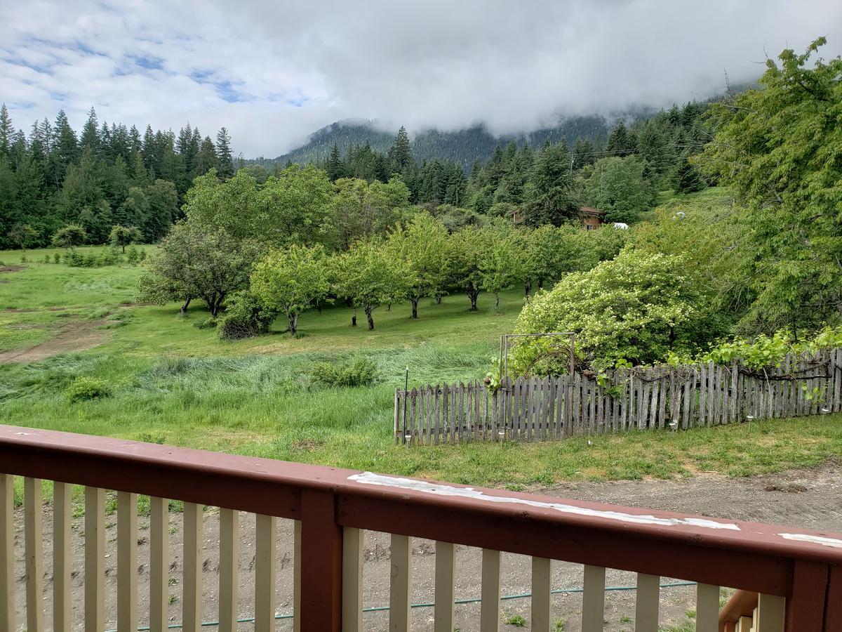 Cherry Cove Cabins Villa Kaslo Luaran gambar
